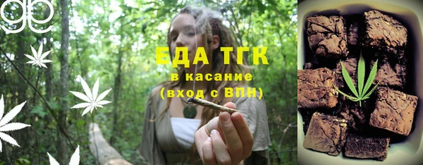 индика Сатка
