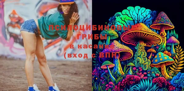 мескалин Бородино